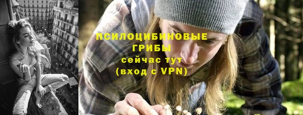 мдпв Козельск